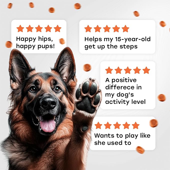 Glucosamine for Dogs 500mg – Hip & Joint Support Treats with Collagen, Chondroitin & Turmeric – PhD Endorsed Formula - Mobility Supplement for Dogs – 140 Chews – Beef Flavor – Made in USA