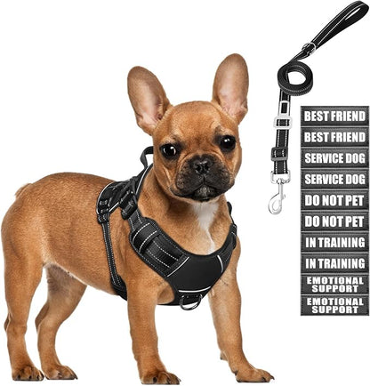 Tactical Dog Harness and Leash Set Small Sized Dog,Heavy Duty No Pull Service Dog Vest and 10 Patches with Dog Seat Belt,Reflective Adjustable Pet Harness for Training Walking Hiking Black S