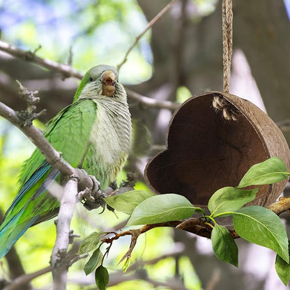 Natural Coconut Bird Nest,Hanging Coco Birds House Habitats Decor,Parrots Coconut Shell Nest Hideout with Grinding Beak Toys,Bird Cage Accessories Coconut for Canary Lovebird Cockatiel