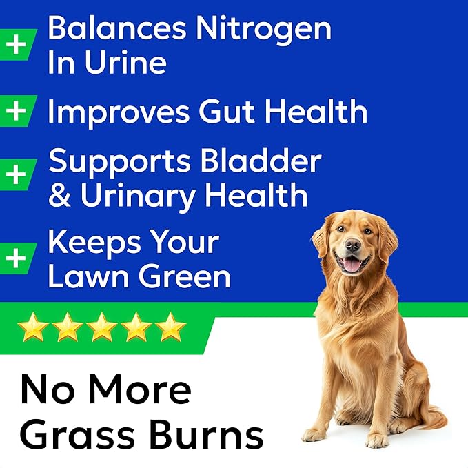BARK&SPARK Green Grass Chews - Dog Pee Grass Spot Saver Caused by Dog Urine - Urine Neutralizer for Lawn, Gut Health Probiotics & Enzymes, Lawn Burn from Pee, Grass Burn Spot Chews Rocks