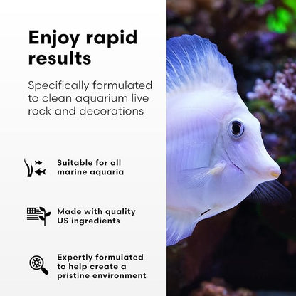 Brightwell Aquatics MicroBacter Clean - Microbial Culture & Enzyme Blend Fish Tank Cleaner - Cleans Live Rock Surfaces for Saltwater Fish Habitats - Aquarium Water Treatments, 67.6 fl oz