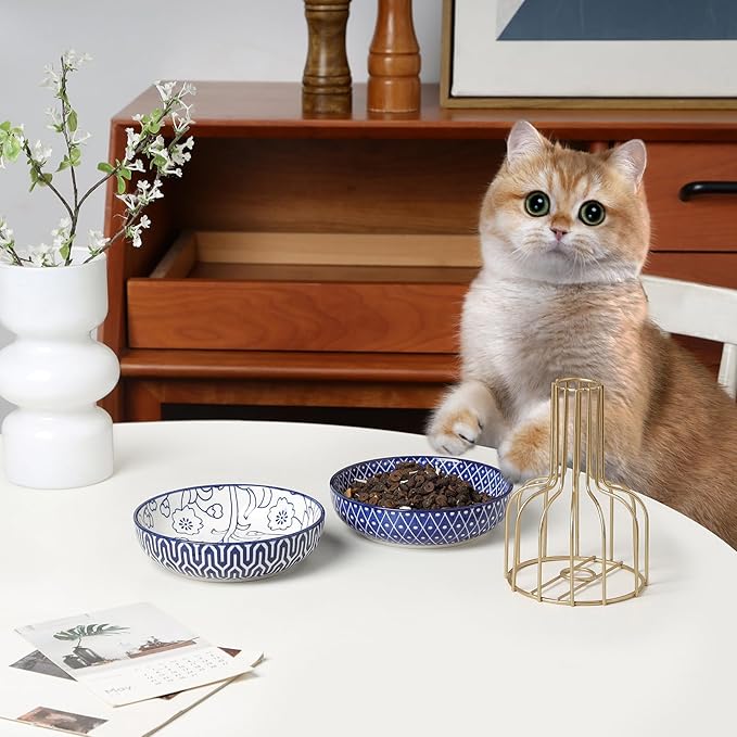 Selamica Ceramic Cat Food Bowl Set of 4, 5.6 Inch Wide Shallow Cat Bowls/Dishes for Food and Water, Vintage Blue