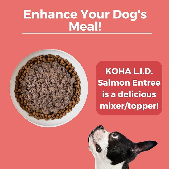 KOHA Limited Ingredient Diet Salmon Entrée for Dogs - Dog Food Toppers for Picky Eaters - Sensitive Stomach Canned Dog Food - Pate Dog - 13 oz Pack of 12