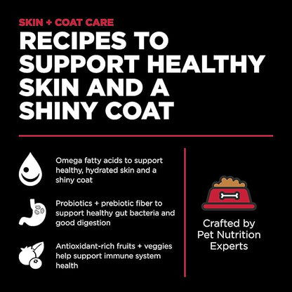 Go! Solutions Skin + Coat Care, Dry Dog Food, Lamb Recipe with Grains, 22 lb Bag