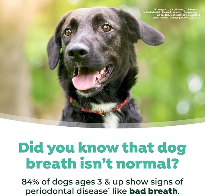 TropiClean Fresh Breath Water Additive for Dogs with Prebiotics, Gut Health for Dogs, Breath Freshener and Teeth Cleaning Solution, 16oz.