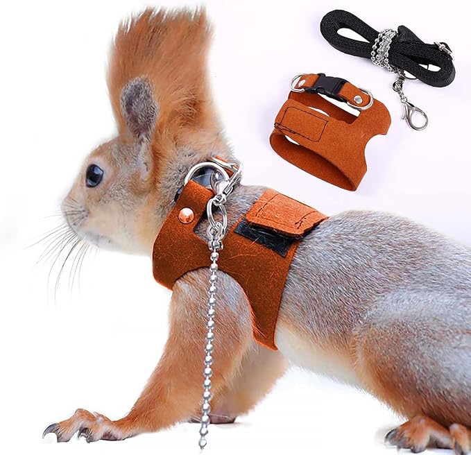Squirrel Traction Rope Strap Anti-Biting Chain Rope, Adjustable Vest, Small Animal Walking Harness with Lead Leash, Hamster Gerbil Rat Mouse Ferret Chinchilla Small Animal Walking Leash