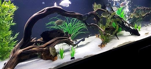 Aquarium Safe Epoxy Resin - MAX ACR A/B for Coating Casting Strong Glue Fiberglassing Resin, for Making Plywood Aquarium & Terrarium, Concrete Coating & Sealant for Koi Ponds, Fresh Or Saltwater Use