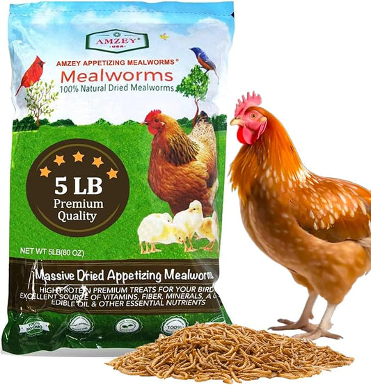 Amzey Appetizing Mealworms 5 LBS- 100% Non-GMO Dried Mealworms - Large Meal Worms - High Protein Treats- Perfect Mealworm for Chickens, Ducks, Turtles, Blue Birds, Lizards - Bag of Mealworms 5 LBS