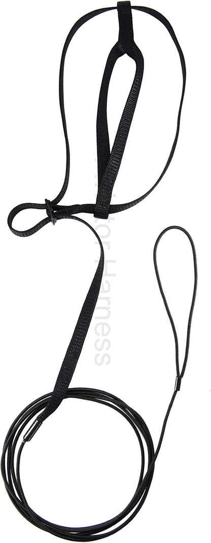The AVIATOR Pet Bird Harness and Leash: Medium Black