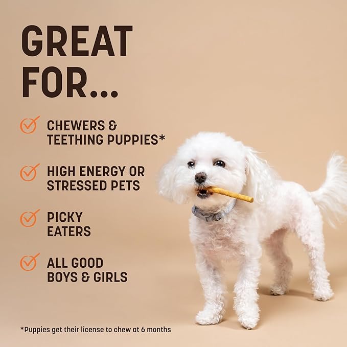 Earth Animal No-Hide Seasonal Stix Pumpkin Spice Recipe Natural Rawhide Alternative Dog & Cat Chews - 20 Count Value Pack