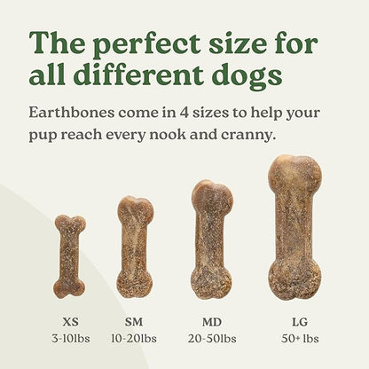 Presidio Earthbones (Formerly Terrabones) Dental Chews, Dog Teeth Cleaning Treat, Large, 6 Treats