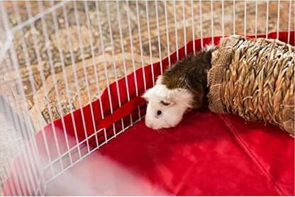 Prevue Hendryx 1098 Nature's Hideaway Grass Tunnel Toy, 13.5" x 6 "