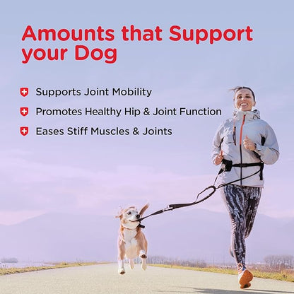 Nutri-Vet Hip & Joint Biscuits for Dogs, Dog Hip & Joint Supplement, Functional Treat, Large Sized Biscuit, 300mg of Glucosamine, 6 lb Bag