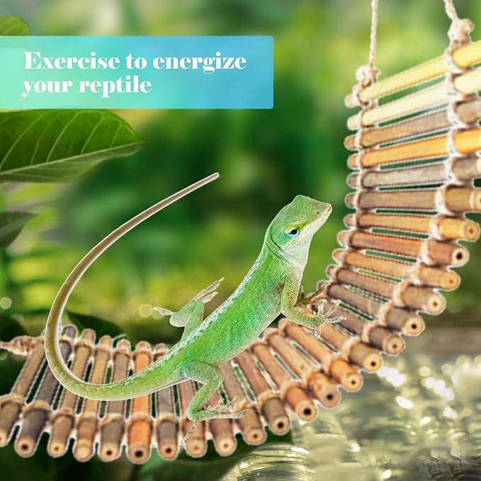 kathson Reptile Bridge for Terrarium,Bearded Dragon Wooden Bridges Gecko Hammock with Hanging Plants Lizard Lounger Bamboo Ladder Reptiles Tank Accessories Climbing for Chameleons Geckos Snakes (3Pcs)