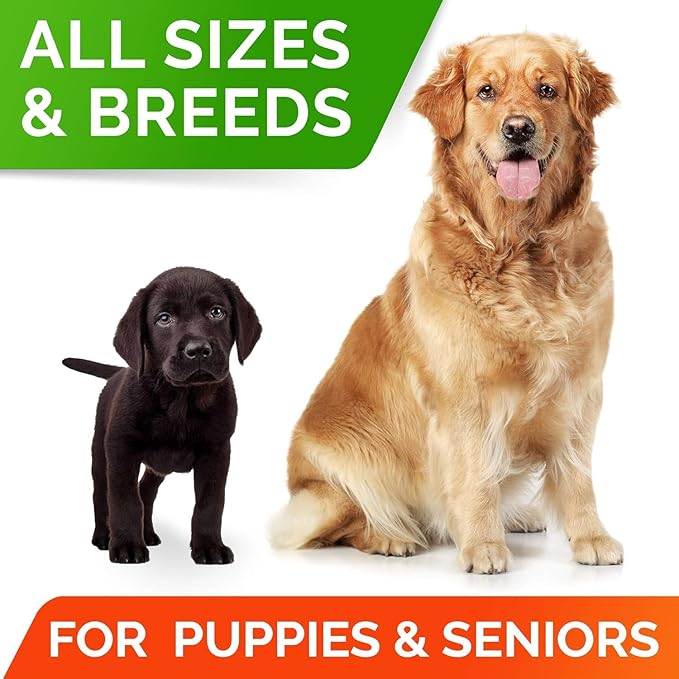 StrellaLab Dog Probiotics Treats for Picky Eaters - Digestive Enzymes + Prebiotics - Chewable Fiber Supplement - Allergy, Diarrhea, Gas, Constipation, Upset Stomach Relief - Improve Digestion&Immunit