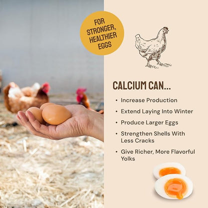 5lb Grubs & Grits Organic Chicken Feed - 3 Grub Blend with Oyster Shells & Grits - Dried Mealworms for Chickens Plus Large & Small Black Soldier Fly Larvae - Food Designed for Foraging