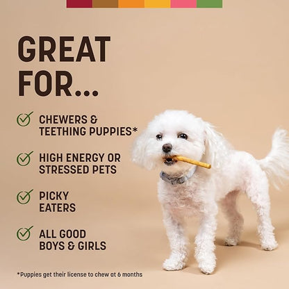 Earth Animal No-Hide Stix Pork Recipe Natural Rawhide Alternative Dog & Cat Chews - 20 Count Value Pack