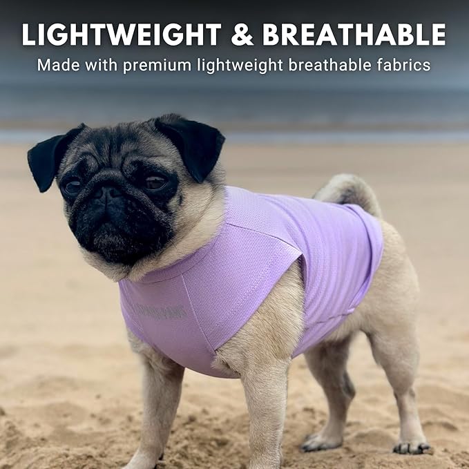 Spark Paws Sunblock Dog T-Shirt, SPF30 Protection, Lightweight Breathable Quick Dry for Dogs with Sensitive Skin - Purple & Peach (Set of 2) - S