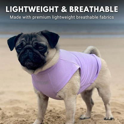 Spark Paws Sunblock Dog T-Shirt, SPF30 Protection, Lightweight Breathable Quick Dry for Dogs with Sensitive Skin - Purple & Peach (Set of 2) - S