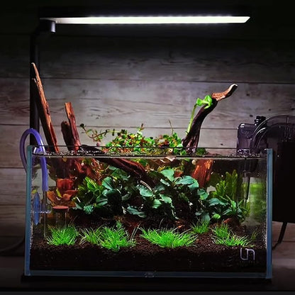 majoywoo Natural Small Driftwood for Aquarium Decor Reptile Decor, Assorted Driftwood Branch 2-4.5" 10 Pcs, Fish Tank Decorations