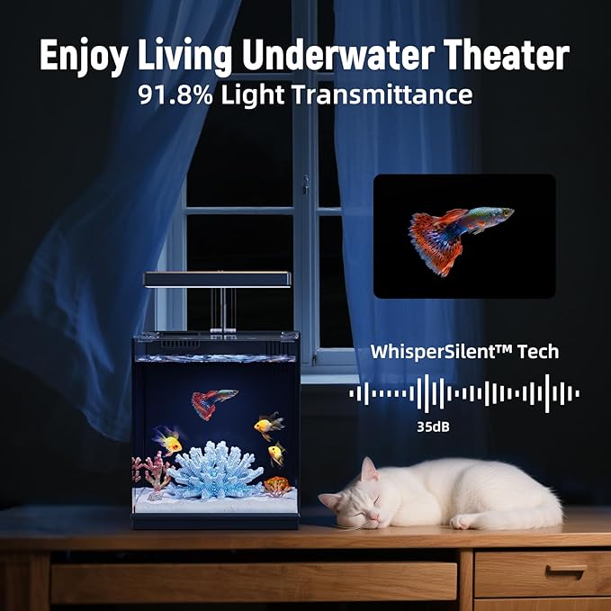 Beta Fish Tank, 2 Gallon Betta Fish Aquariums with Filter & Light, Self Cleaning Fish Tanks for Kids & Starter, Black