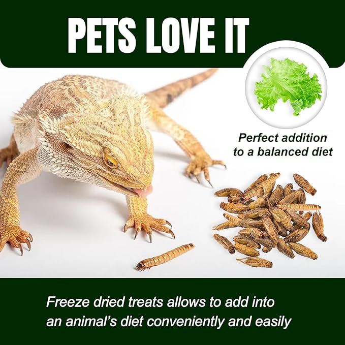 Amzey Appetizing Mealworms with Natural Dried Crickets (8oz) All Natural 100% Non-GMO, Food for Breaded Dragons, Chicken, Fish, Ducks, Wild Birds, Turtles, Hedgehogs