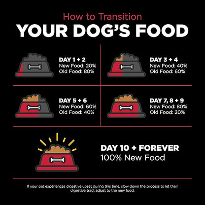 Go! Solutions Skin + Coat Care, Dry Dog Food, Lamb Recipe with Grains, 22 lb Bag