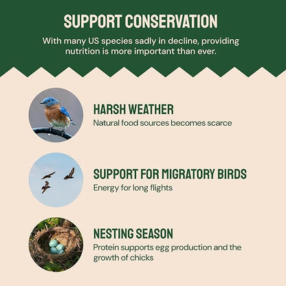 Dried Mealworms - 2 Lb Bag - High Protein Chicken Feed, Mealworms for Birds & Chickens - Meal Worms for Wild Birds & Turtles