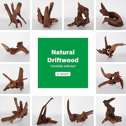 Driftwood for Aquarium Natural Aquarium Wood for Aquascaping Fish Tank Decorations Reptile Tank Decor (Natural Driftwood 6-10" (Pack of 3)+Protein Cotton)