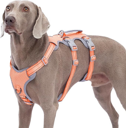 Escape Proof Dog Harness, No Pull Reflective Harness with Lift Handle, Adjustable Pet Vest with Front and Back Leash Clips for Small Medium Large Dogs Walking Hiking Training (Orange,L)