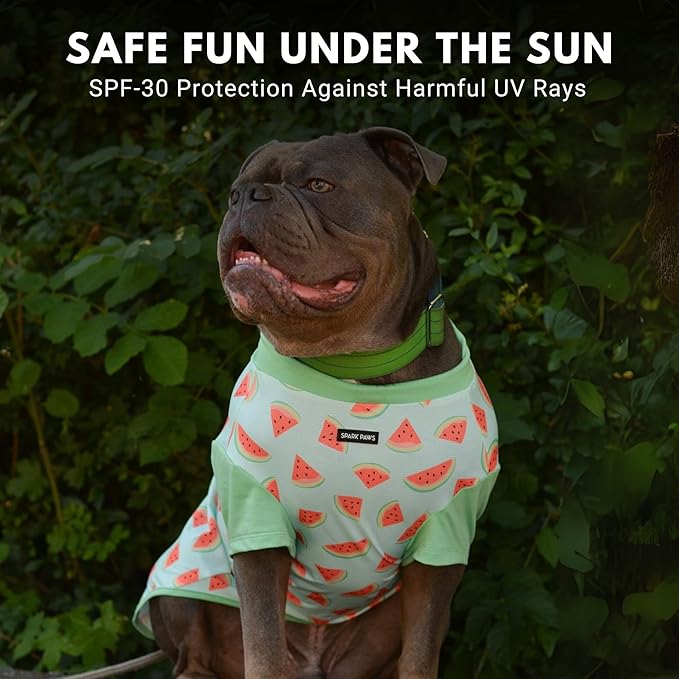 Spark Paws Sunblock Dog T-Shirt, SPF30 Protection, Lightweight Breathable Quick Dry for Dogs with Sensitive Skin - Watermelon & Peach (Set of 2) - M