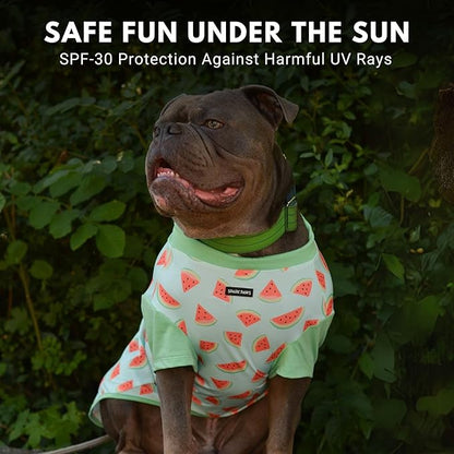 Spark Paws Sunblock Dog T-Shirt, SPF30 Protection, Lightweight Breathable Quick Dry for Dogs with Sensitive Skin - Watermelon & Peach (Set of 2) - 5XL