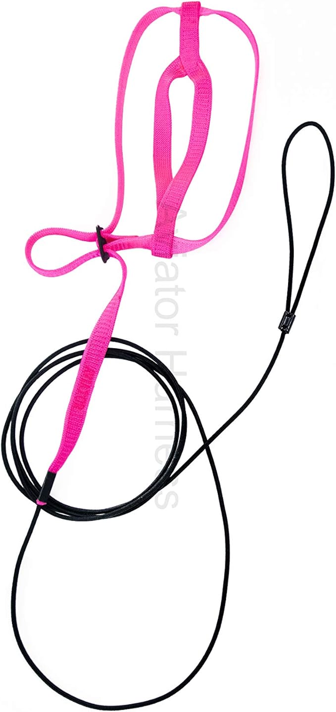 The AVIATOR Pet Bird Harness and Leash: Small Pink