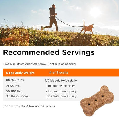 Nutri-Vet Skin & Coat Biscuits for Dogs, Tasty Dog Treat, Skin and Coat Supplement, Omega 3 Fish Oil, Small Sized Biscuit, Made with Omega 3 and Biotin, Fish Oil Treat for Pets, 16 oz(Pack of 2)