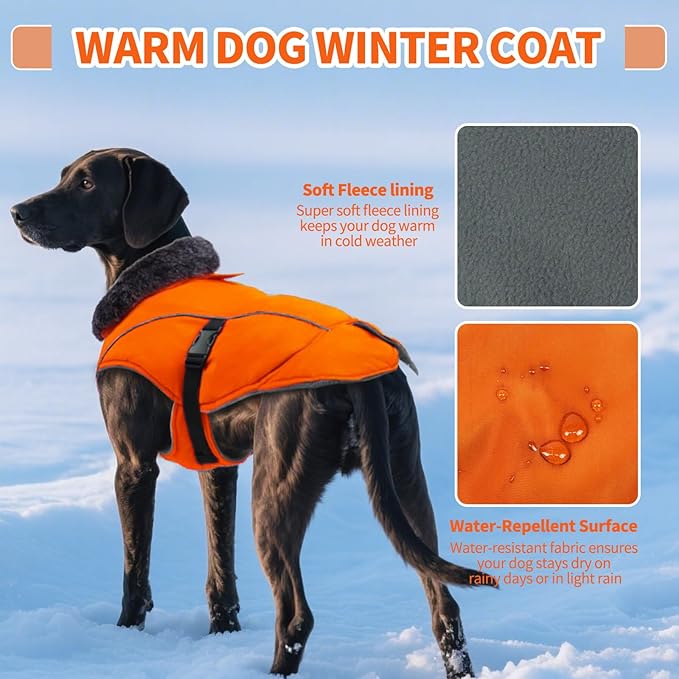DENTRUN Medium Dog Winter Jacket - Warm Reflective Windproof Coat, Adjustable Neck & Snap Closure, Water Repellent Thick Fleece Vest, Fleece Lined for Beagle Pug, Orange, M