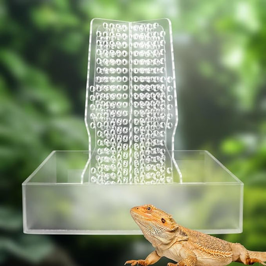 Bearded Dragon Feeder, Transparent Acrylic Chameleon Feeding Bowl, Reptile Terrarium & Aquarium Accessories, Climbable Bug Food Bowl for Lizard Frog Gecko