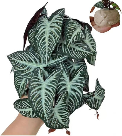 Reptile Plants,Terrarium Decor,Amphibian Habitat Decor,Artificial Plants for Gecko Chameleon Snake Tortoise Tank Accessories with Base(Xanthosoma sagittifolium)