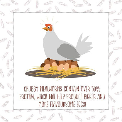 5Lb Chubby Dried Mealworms High Protein Treat for Chickens, Ducks & Birds