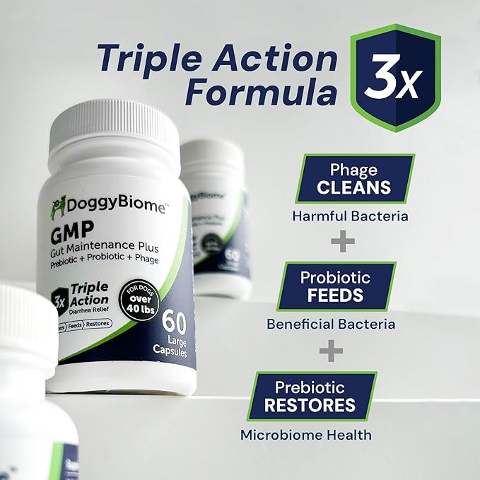 Dog Probiotics - GMP Prebiotics and Probiotics - Reduce Diarrhea Flareups - for Dogs Under 20 lbs (60 Capsules) - DoggyBiome