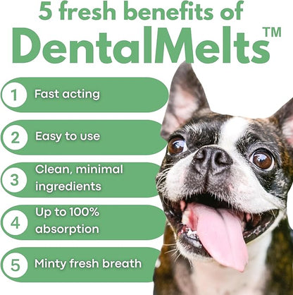 Dog Breath Freshener 5 in 1 – 30 Oral Strips – Natural Sage, Spirulina, Apple Cider Vinegar – Dogs Dental Care Products, Fresh Breath & Oral Hygiene Support – No Chew Dog Breath Mints