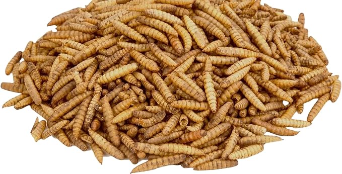 Dried Mealworms for Poultry, Wild Birds, Tasty Bird Food, 100% Natural, Non-GMO, High-Protein Treats for Bird, Pack of 4 Each 13.3 oz