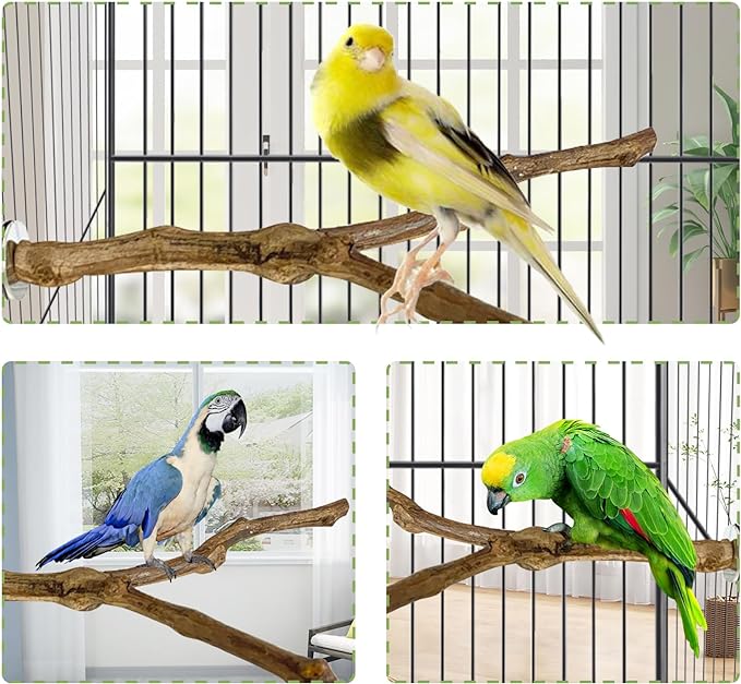 kathson Natural Parrot Perch Bird Stand Pole Wild Grape Stick Paw Grinding Fork Parakeet Climbing Standing Branches Toy Chewable Cage Accessories for Small Budgies Cockatiels Lovebirds 3PCS