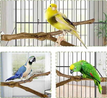 kathson Natural Parrot Perch Bird Stand Pole Wild Grape Stick Paw Grinding Fork Parakeet Climbing Standing Branches Toy Chewable Cage Accessories for Small Budgies Cockatiels Lovebirds 3PCS