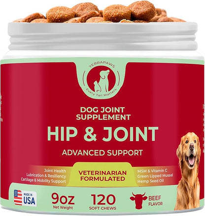 Hip & Joint Supplement for Dogs – Advanced Mobility Support with Glucosamine, Chondroitin, MSM, Turmeric & Green Lipped Mussel – 120 Soft Chews for Large, Medium & Small Dogs – Beef Flavor