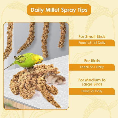 KATUMO Spray Millet Treats, 7Oz / 200g Natural Sun-Dried Bird Treats for Parakeet Conure Cockatiel Finch Pigeon Hamster Canary