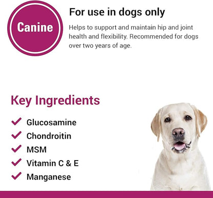 Vet Classics GCM Plus Hip & Joint Support Dog Supplement – Includes MSM, Chondroitin, Glucosamine – Supports Healthy Joints, Flexible Hips in Dogs – Chewable Tablets 120 Ct.