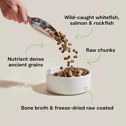 Open Farm, RawMix Dry Dog Food with Ancient Grains, Protein-Packed Kibble Coated in Bone Broth with Freeze Dried Raw Chunks, Salmon Whitefish & Rockfish,Wild Ocean Recipe, 3.5lb Bag