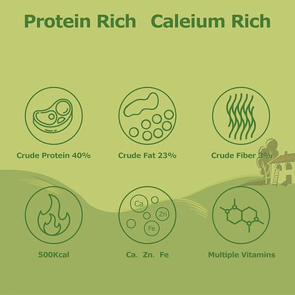 5LB Dried Black Soldier Fly Larvae, Non-GMO & Nutrient-Packed Chicken Feed, Strong Egg Production and Health, Rich in Calcium for Healthy Hens and Ducks, Better Than Dried Mealworms