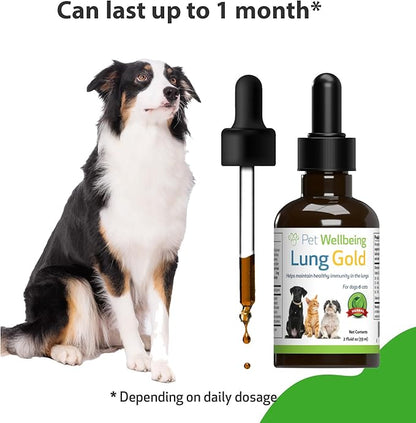 Pet Wellbeing Lung Gold for Dogs & Cats - Vet-Formulated - Lung & Respiratory Immune Support, Open Airways, Easy Breathing - Natural Herbal Supplement 4 oz (18 ml) (2 fl oz (59 ml))
