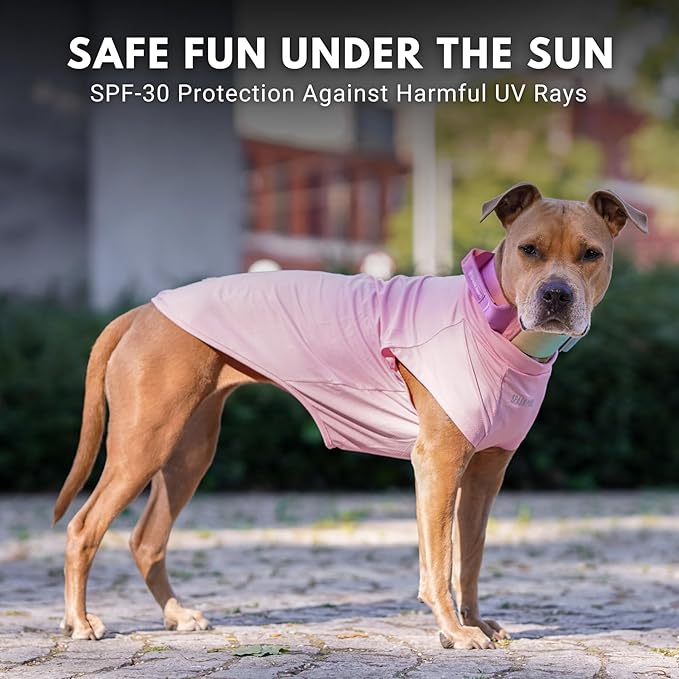 Spark Paws Sunblock Dog T-Shirt, SPF30 Protection, Lightweight Breathable Quick Dry for Dogs with Sensitive Skin - Purple & Pink (Set of 2) - L